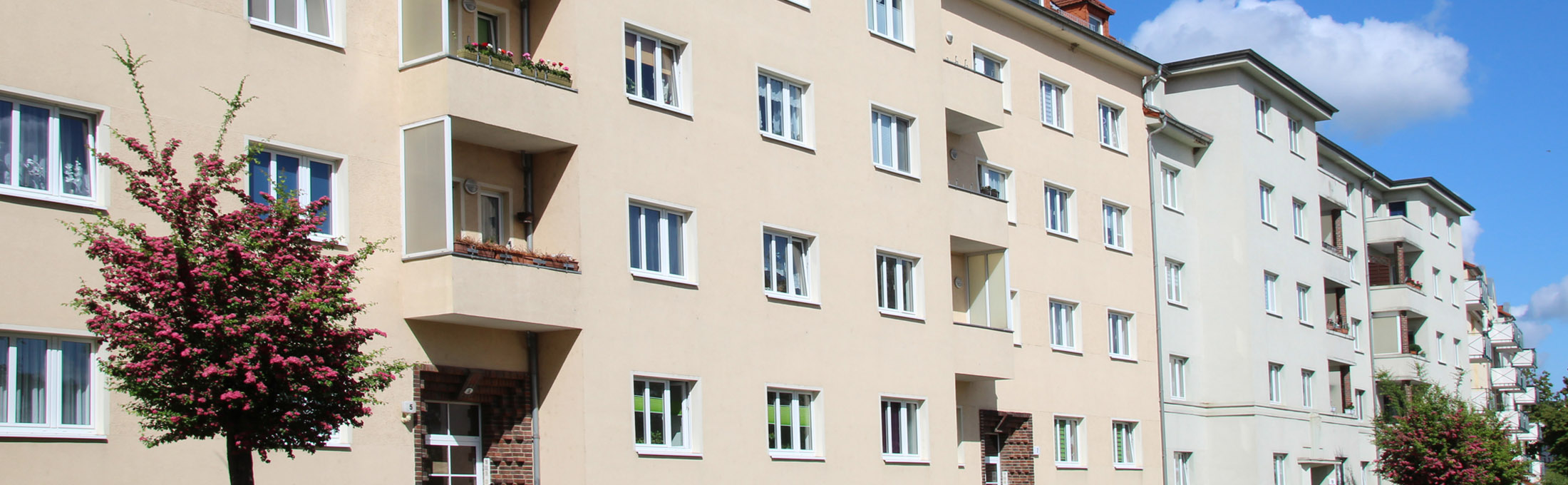 Header-Bild für aktuelle Seite